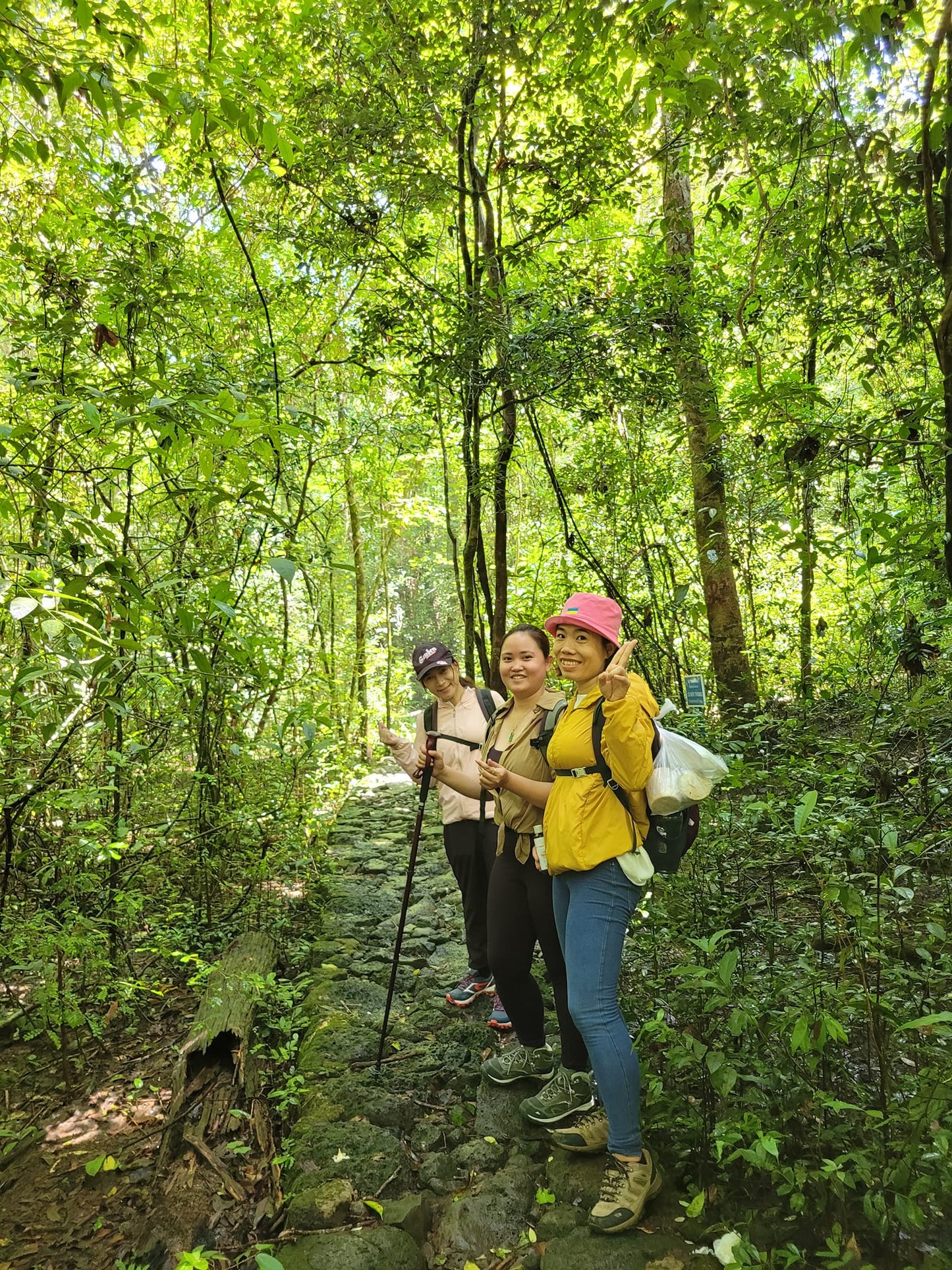 6D: Nam Cat Tien National Park: Where Nature's Wonders Come Alive!